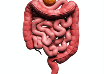 Zdrowie rodzi się w&nbsp;jelitach