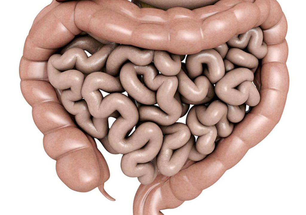 zespół nieszczelnych jelit