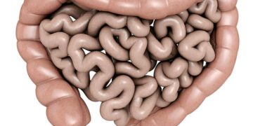 zespół nieszczelnych jelit