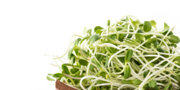 Kiełki – mini warzywa, które wyhodujesz w kilka dni!