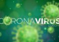 Koronavirus SARS-COV2