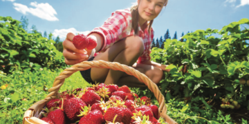 Biuletyn Chronimy Zdrowie 6/21