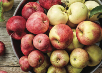 Biuletyn Chronimy Zdrowie – nr&nbsp;10/21