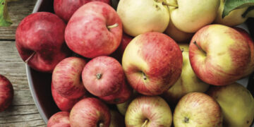 Biuletyn Chronimy Zdrowie – nr&nbsp;10/21