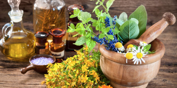 Fitoterapia w&nbsp;infekcjach sezonowych i&nbsp;nie&nbsp;tylko.