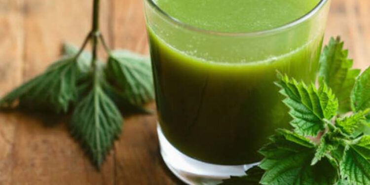 Biuletyn Chronimy Zdrowie nr 4/23