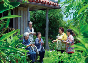 Chronimy Zdrowie nr&nbsp;11/23