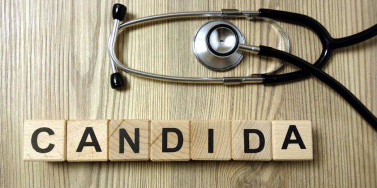 Kandydoza czyli Candida albicans