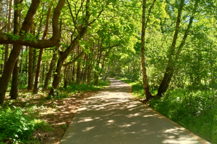 Wypoczynek nad morzem