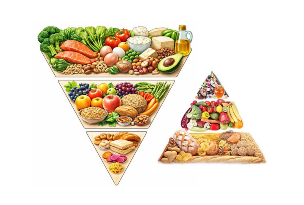 Odwrócona piramida żywieniowa