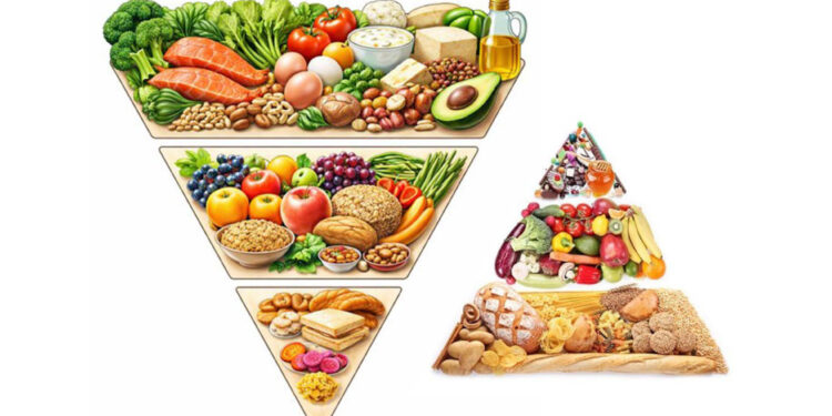 Odwrócona piramida żywieniowa